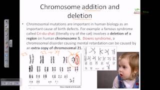 Chromosomal mutation [upl. by Swenson]