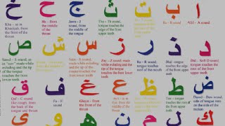 Arabic Alphabet  Pronunciation [upl. by Tteve972]