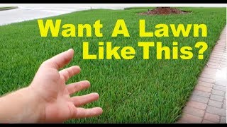 How To Fix An Ugly Lawn  Lawn Care Tips For Beginners [upl. by Oikim]