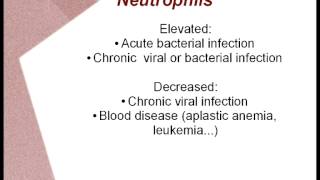 White Blood Cell Count WBC and Differential  Holistic Interpretation [upl. by Ama]