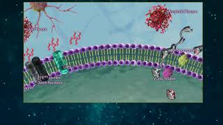 Amyloid Beta Processing [upl. by Millian]