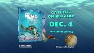 Finding Nemo  Available on Bluray Combo Pack December 4 [upl. by Nylatsyrk202]