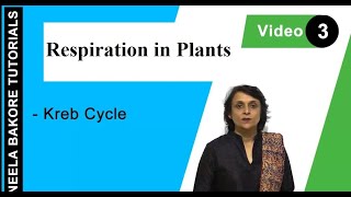 Respiration in Plants  NEET  Kreb Cycle  Neela Bakore Tutorials [upl. by Annawad]