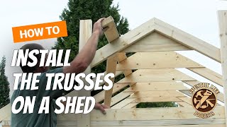 How to Build a Shed  How To Install Trusses  Video 6 of 15 [upl. by Melac]