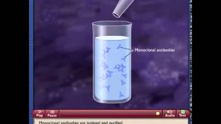 Monoclonal Antibody Production [upl. by Benedikt]