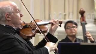 Antonio Vivaldi – Violin Concerto in gminor RV 317 [upl. by Persson]