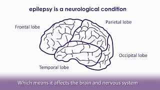 Epilepsy and Seizure Information for Schools 7 min [upl. by Llerej]