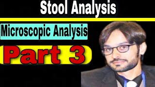 Microscopic Analysis of Stool Part 3 [upl. by Shumway203]