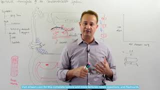 Blood Flow Autoregulation [upl. by Eenhpad]