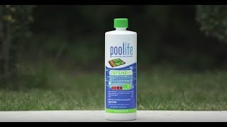 poolife® Defend® Algaecide [upl. by Naget]