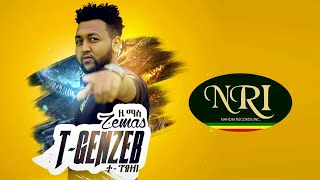 Zemas  Te Genzeb  ዜማስ  ተ ገንዘብ  New Ethiopian Music 2020 Official Video [upl. by Eirrej700]