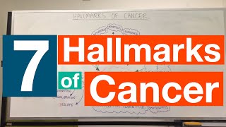 Hallmarks of Cancer  Pathophysiology [upl. by Cathey]