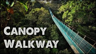 Worlds Largest Rainforest Canopy Walkway  Virtual Tour [upl. by Tcideneb726]