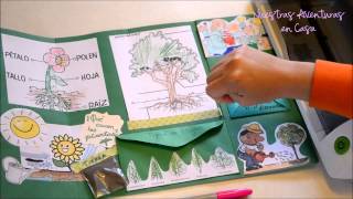 Lapbook Las Plantas [upl. by Dahlia883]