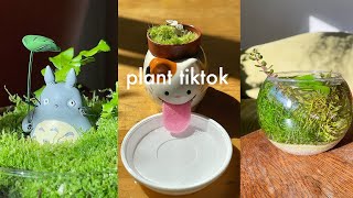 Plant Tiktok Compilation  benjiplant [upl. by Aimit]