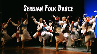 Serbian Folk Dance  The Tamburitzans [upl. by Leveroni]