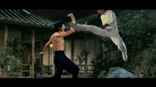 BRUCE LEE vs JACKIE CHAN [upl. by Gard796]