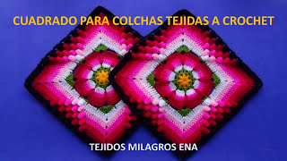 Como tejer el Cuadrado o muestra de colores N° 12 a crochet para colchas y cojines paso a paso [upl. by Anij411]