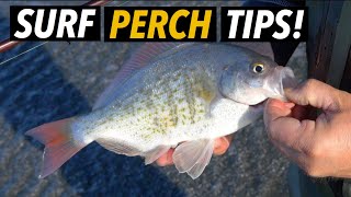 Surf Fishing Tips for Perch 4K [upl. by Haskel]