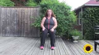 Seated Exercise Head To Toe Gentle Workout [upl. by Susanna523]