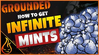 How To Get Infinite Mints In The Game Grounded [upl. by Lewie]