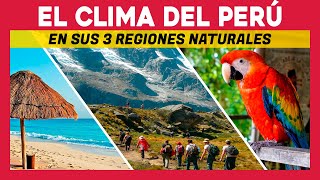 ✅ EL CLIMA DEL PERU EN SUS 3 REGIONES NATURALES ✅ INFORMACION SOBRE EL CLIMA DEL PERU [upl. by Loralyn]