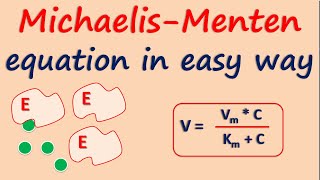 MichaelisMenten equation in easy way [upl. by Donalt373]