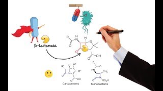 How do antidepressants work  Neil R Jeyasingam [upl. by Marquardt]