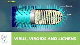 VIRUS VIROIDS and LICHENS [upl. by Herzen]