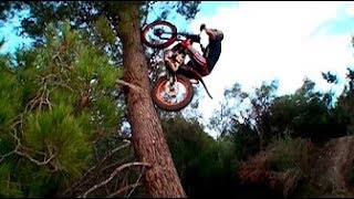 Best Trial Bike Stunts [upl. by Akel]