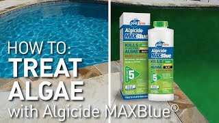 Kill amp Prevent Algae Pool Time® [upl. by Mal]