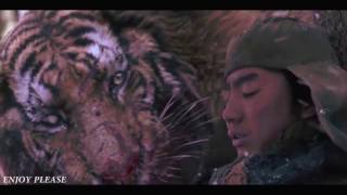 Tiger VS Wolf Fight Scene HD [upl. by Nemad]