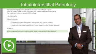 Tubulointerstitial Pathology – NephrologyFoundations  Lecturio [upl. by Ellenid]