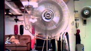 Galaxy 16quot Stand Fan [upl. by Ostler]