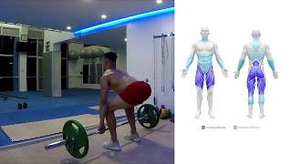 Deadlift  How To Do A Deadlift Benefits amp Muscles Worked [upl. by Aisatnaf]