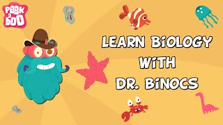 Learn Biology With Dr Binocs  Compilation  Learn Videos For Kids [upl. by Aihk]