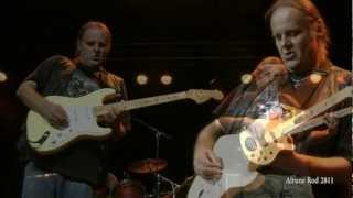 Walter Trout  Going Down 2012 [upl. by Ahsitan815]