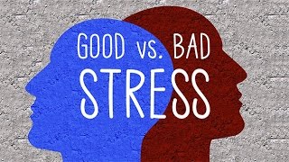 Good Stress Vs Bad Stress [upl. by Garrison]