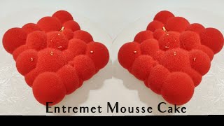 Entremet Mousse Cake [upl. by Aivekal720]