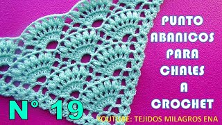 Chal N° 19 tejido a crochet en punto Abanicos y garbanzos en forma triangular en V o en punta [upl. by Oijimer151]