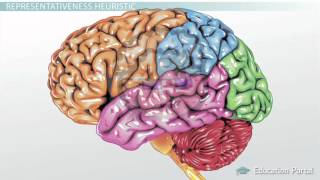 Types of Heuristics Availability Representativeness amp Base [upl. by Arakawa]