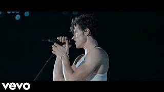 Shawn Mendes  Mercy  Shawn Mendes Live in Concert  part 2 [upl. by Ynaittirb]