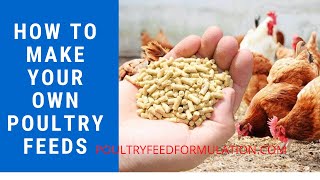 Poultry Feed Formulation How to Make your Own Poultry Feed HD [upl. by Jemie]