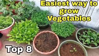 Easiest way to grow Top 8 Vegetables at HomeGarden  Small space gardening CC [upl. by Clorinda]