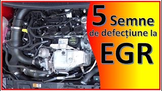 5 semne de EGR defect [upl. by Lon256]