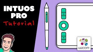 How to Use Wacom INTUOS PRO Small 2019 Model [upl. by Karilla]