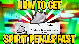 Fastest Way To Get A Spirit Petal In Roblox Bee Swarm Simulator [upl. by Pruchno554]