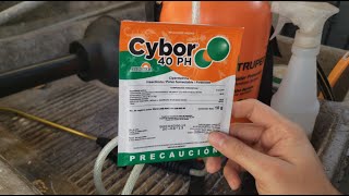 COMO FUMIGAR TU CASA EN 5 MINUTOS CONTRA CUCARACHAS  RESULTADOS [upl. by Nebe679]