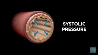 How to Measure Blood Pressure [upl. by Tawsha605]