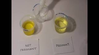 Home Pregnancy Test with Vinegar [upl. by Owena]